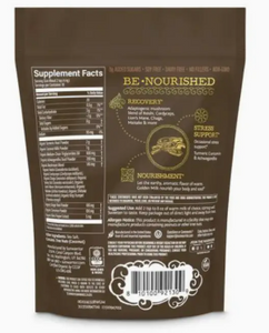 Be Well Golden Milk Drink Powder Mix - Turmeric & Adaptogens