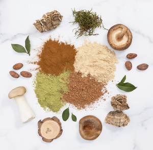 Be Well Organic Lion's Mane Mushroom Powder Drink Mix