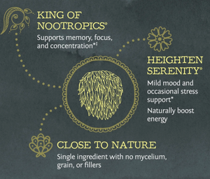 Be Well Organic Lion's Mane Mushroom Powder Drink Mix