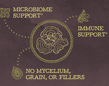 Load image into Gallery viewer, Be Well Organic Turkey Tail Mushroom Powder Drink Mix
