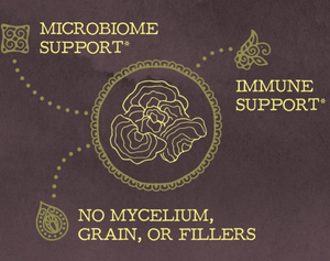 Be Well Organic Turkey Tail Mushroom Powder Drink Mix