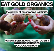 Load image into Gallery viewer, Immune Shroom A Potent, Functional &amp; Delicious Chocolate Bar
