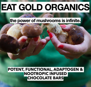 Immune Shroom A Potent, Functional & Delicious Chocolate Bar