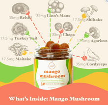Load image into Gallery viewer, Mango Mushroom | Mushroom Honey Gummy | Immune &amp; Pain Relief