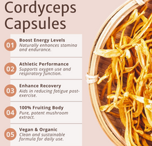 Load image into Gallery viewer, Cordyceps Capsules - Vitalize By Magic Doze™
