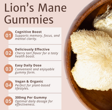 Load image into Gallery viewer, Lion&#39;s Mane Gummies (Cherry Tart) - Brain Food By Magic Doze™