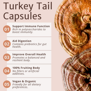 Turkey Tail Mushroom Capsules - Shield By Magic Doze™