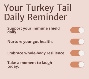 Turkey Tail Mushroom Capsules - Shield By Magic Doze™