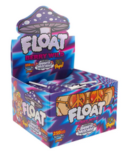 Load image into Gallery viewer, Float 250mg Mushroom Lollipops